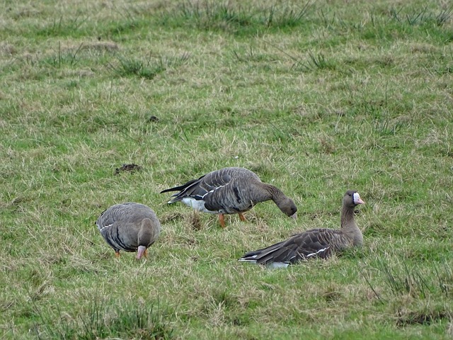 赛都有可能 赛都有可能