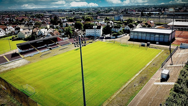 不仅如此 不仅如此