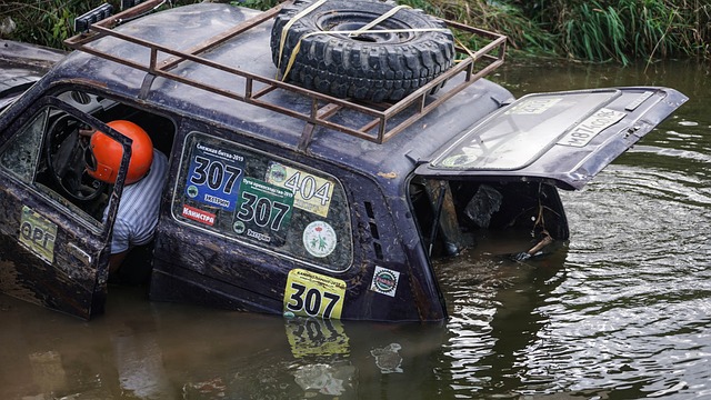 帕拉西奥斯 帕拉西奥斯